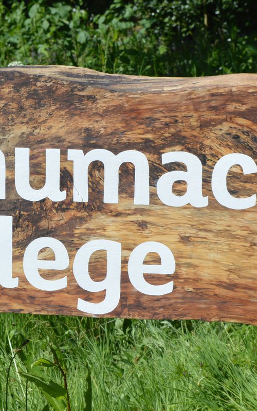 Collegesign Copy