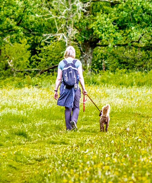 Woman with Dog