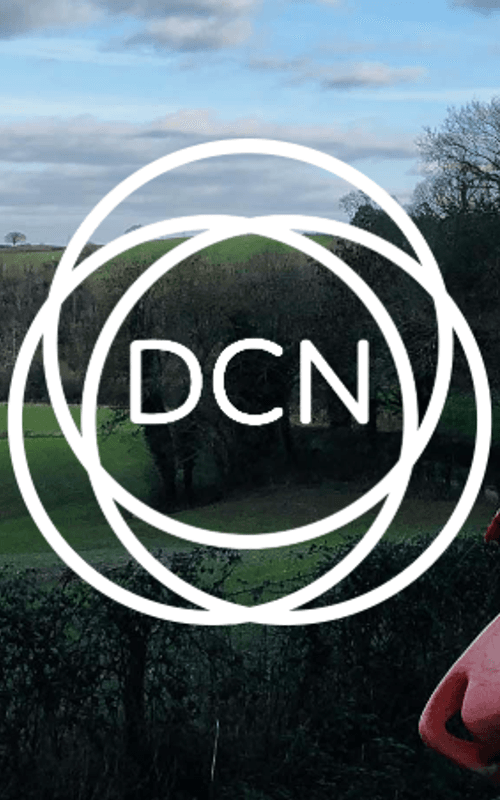 Dcn2